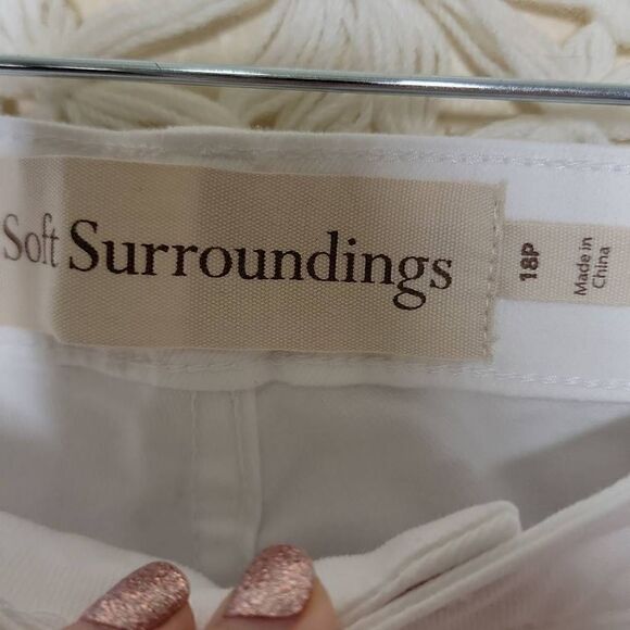 Soft Surroundings Embellished Floral 5 Pocket Straight Leg Crop Jeans 18 Petitie - Picture 6 of 13